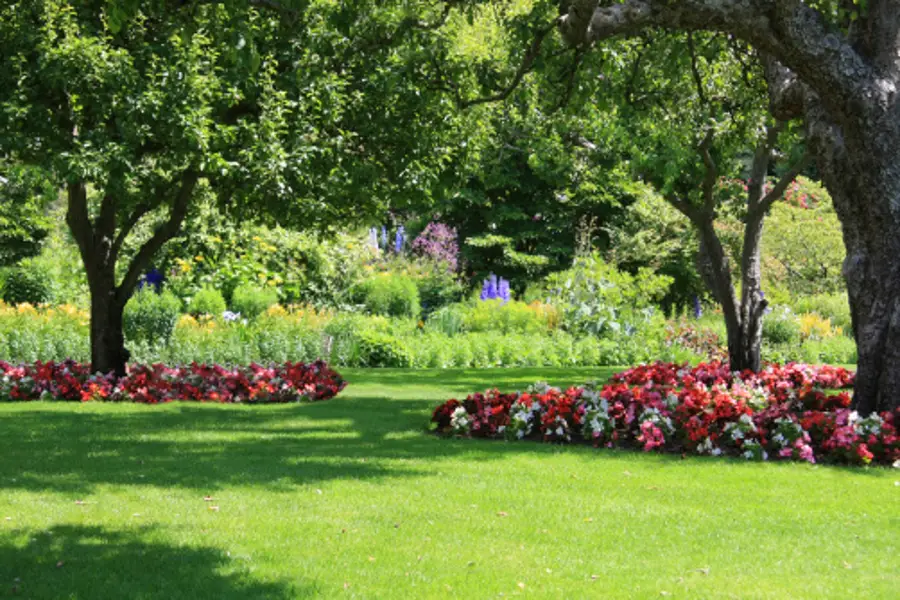 Landscape Contractor Phoenix, AZ