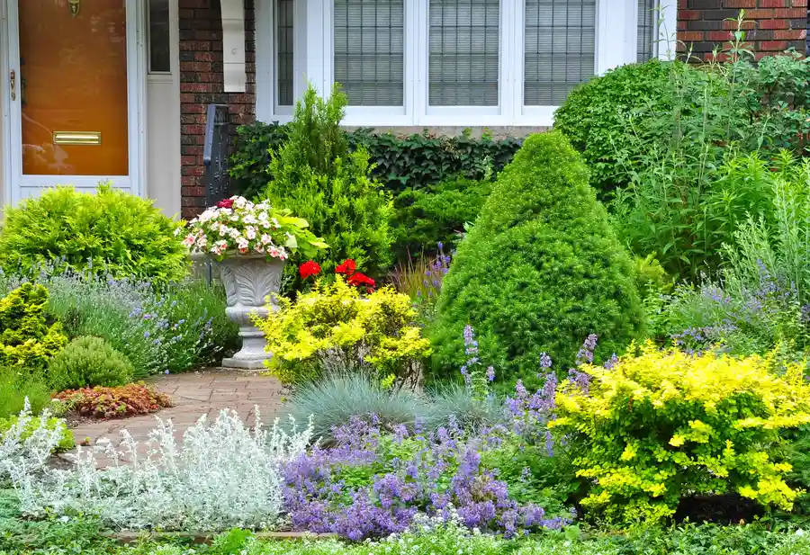 Affordable Small Backyard Landscaping in Phoenix, AZ