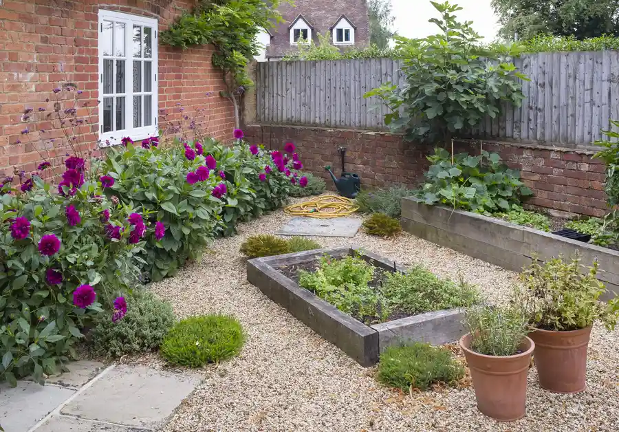Maximizing Space With Smart Small Backyard Landscaping in Phoenix, AZ