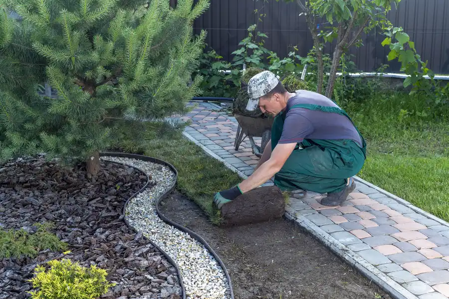 Maximizing Space With Smart Small Backyard Landscaping in Phoenix, AZ