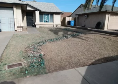 Professional Landscape Contractor (2)