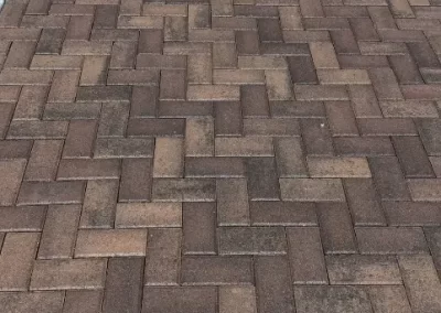 Professional Landscape Contractor (4)