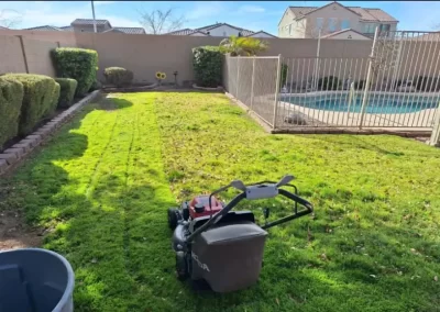 Professional Landscape Services (1)