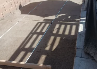 Professional Landscape Services (3)