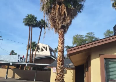 Professional Landscaping Compan