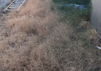 Reliable Landscape Services (1)