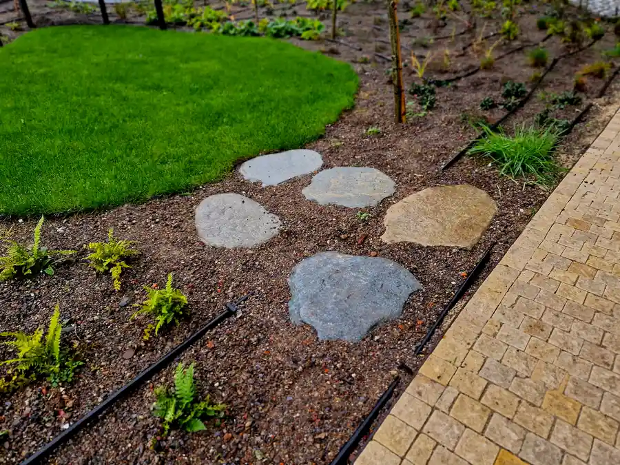 Reputable Small Backyard Landscaping in Phoenix, AZ