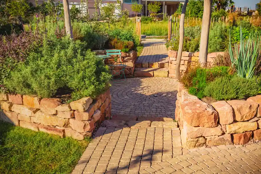 Small Backyard Landscaping Solutions For Low Maintenance in Phoenix, AZ