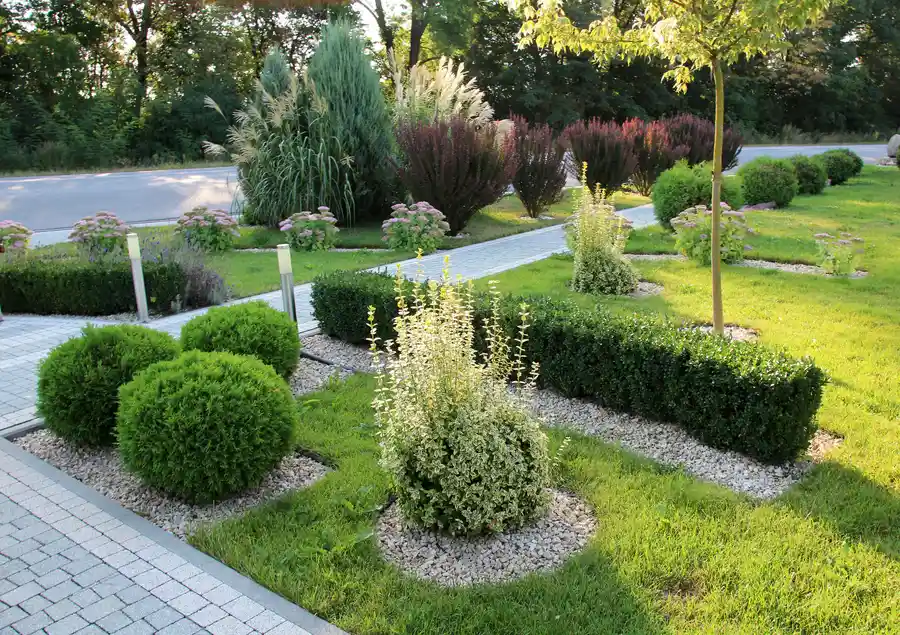 Small Backyard Landscaping Solutions For Low Maintenance in Phoenix, AZ