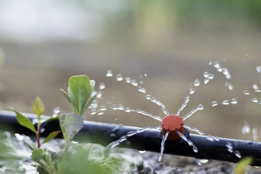 Superior Irrigation System Repair in Phoenix, AZ
