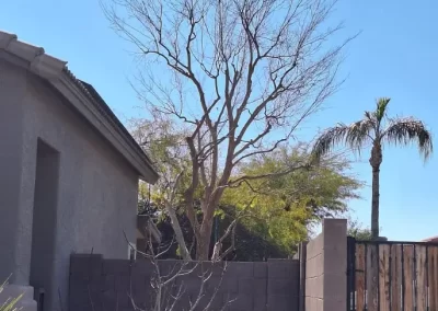 Trusted Landscape Contractor (1)