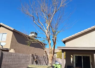 Trusted Landscape Contractor (2)