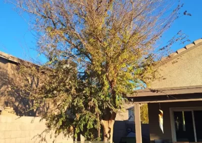 Trusted Landscape Services (2)